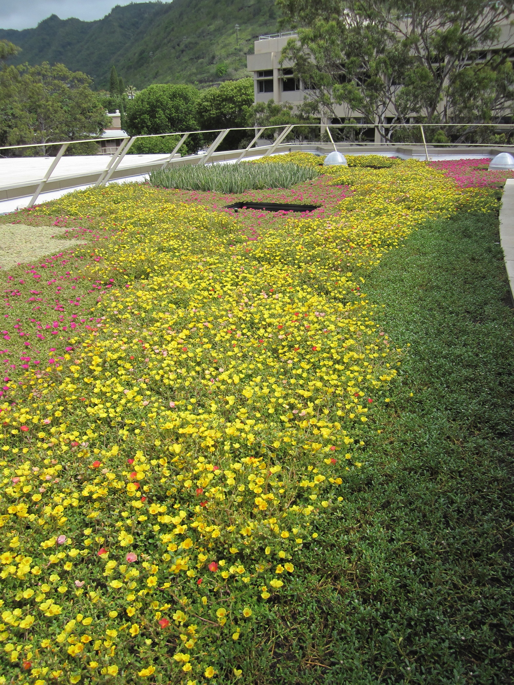 Center for Microbial Oceanography: Research & Education - View 8