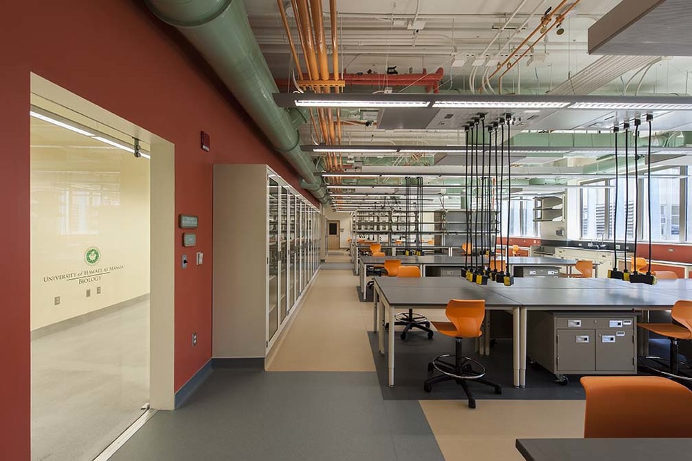 Edmondson Hall Life Sciences Renovation - View 6