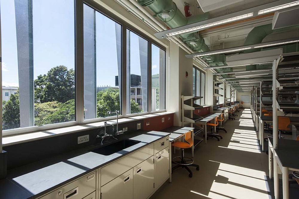 Edmondson Hall Life Sciences Renovation - View 11